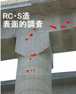 RC・S造 表面的調査