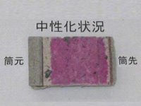 コンクリートコアの中性化状況